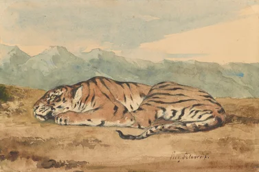 Königlicher Tiger